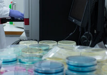 Chemical Microbiological Laboratory