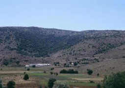 Poultry Houses