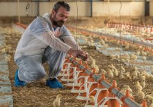 Poultry Houses